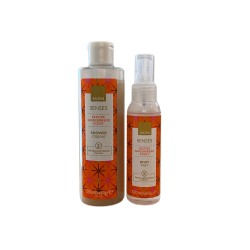 Set Senses Festive Gingerbread Scent