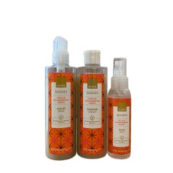 Set Senses Festive Gingerbread