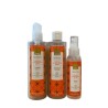 Set Senses Festive Gingerbread