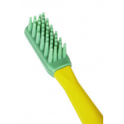 Toothbrush Oralgum