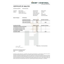 Hemp Cold Cream 40 ml | Kühlende Creme mit Hanf & Minze